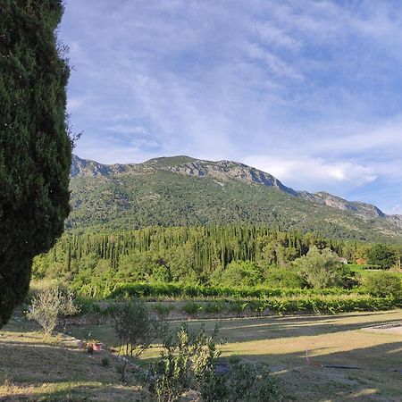 Country House Uros In Nature With Pool Lovorno Bagian luar foto