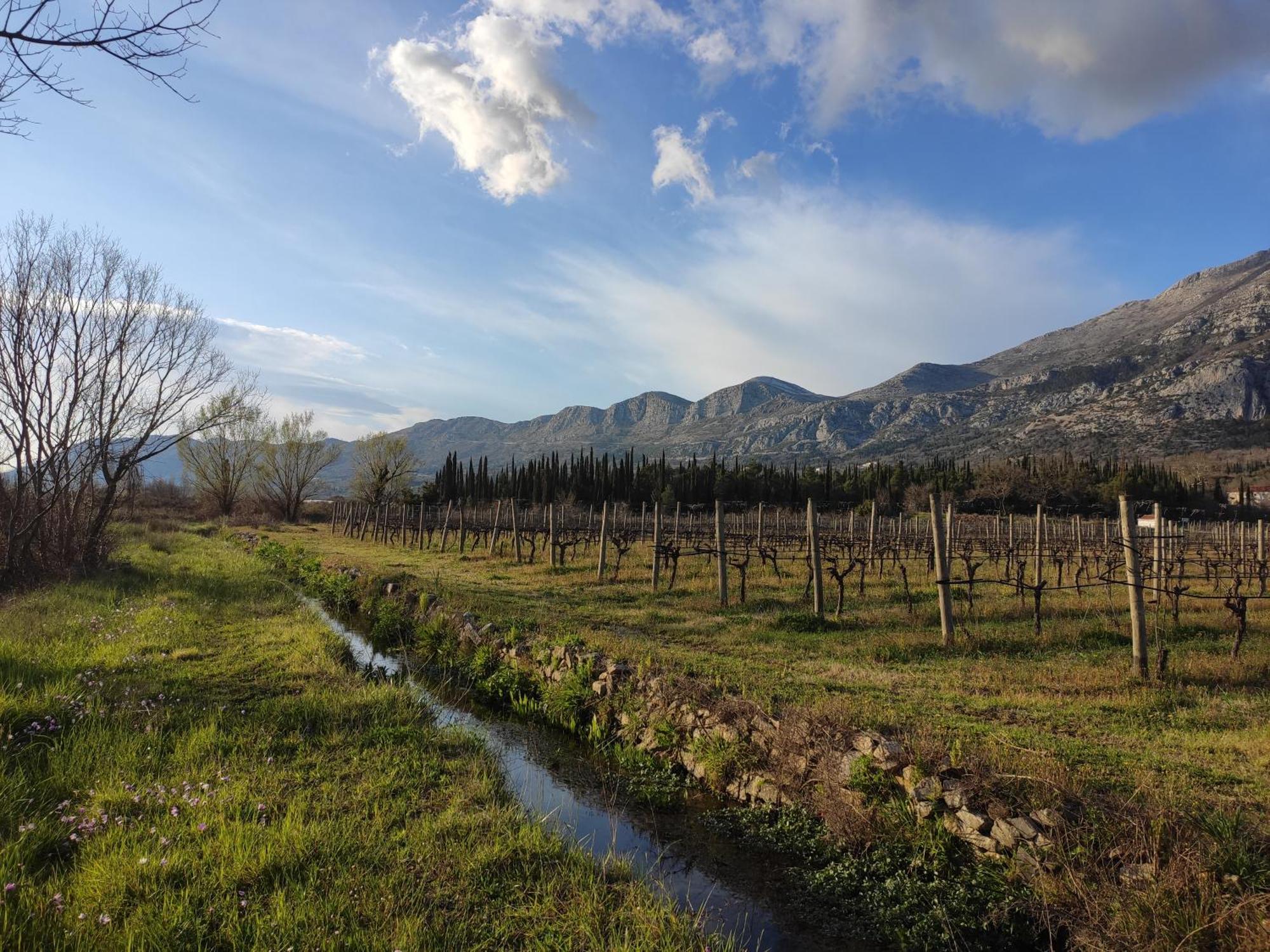 Country House Uros In Nature With Pool Lovorno Bagian luar foto