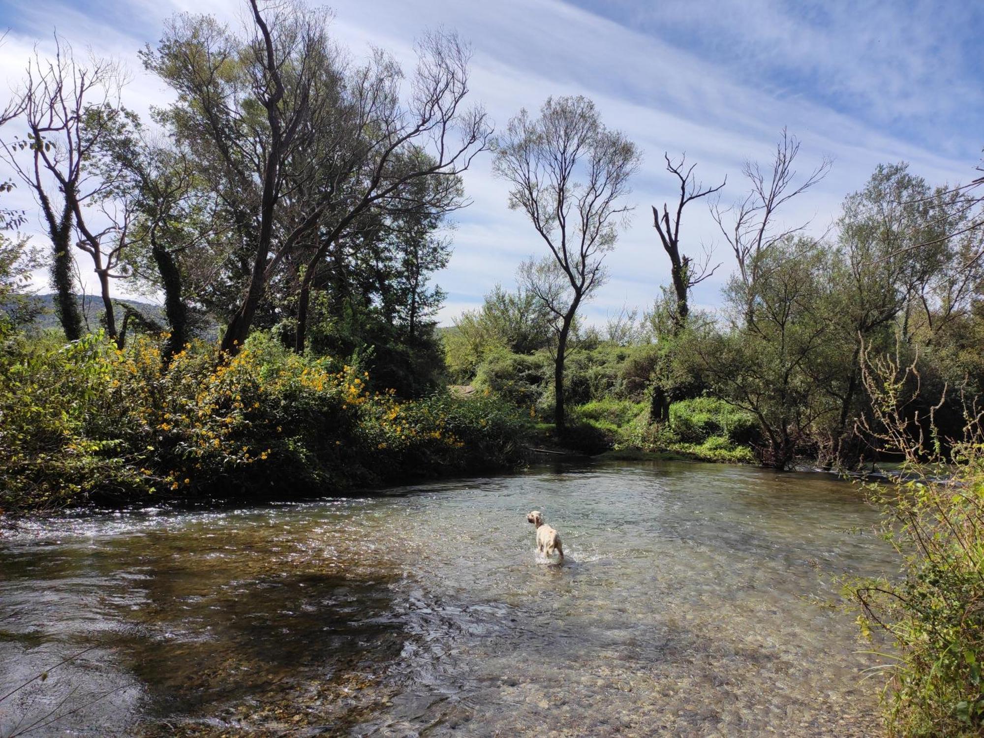 Country House Uros In Nature With Pool Lovorno Bagian luar foto