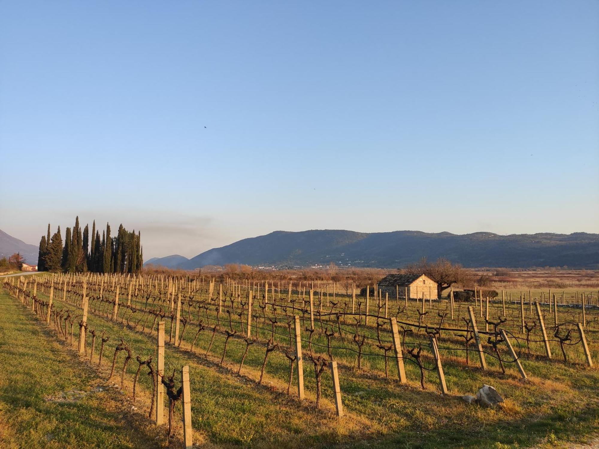 Country House Uros In Nature With Pool Lovorno Bagian luar foto